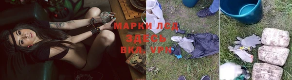 сатива Алексин