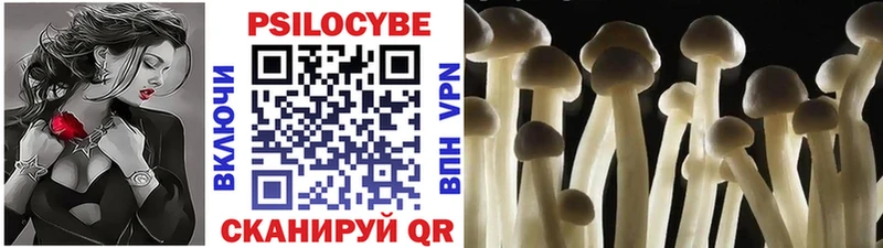 Галлюциногенные грибы MAGIC MUSHROOMS  Октябрьск 